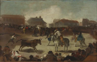 Bullfight in a Village